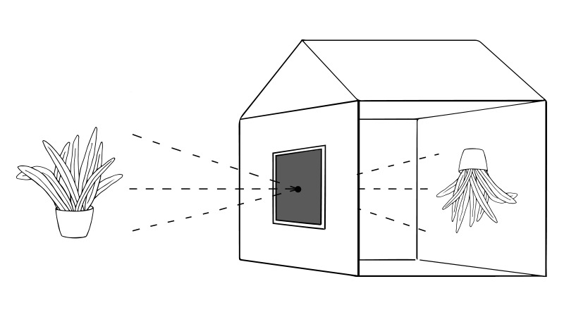 First photograph – View from the window