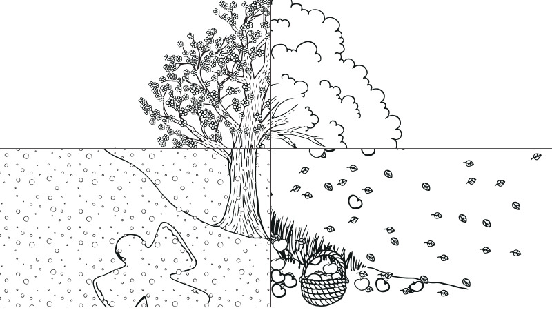 Our tree and the four seasons